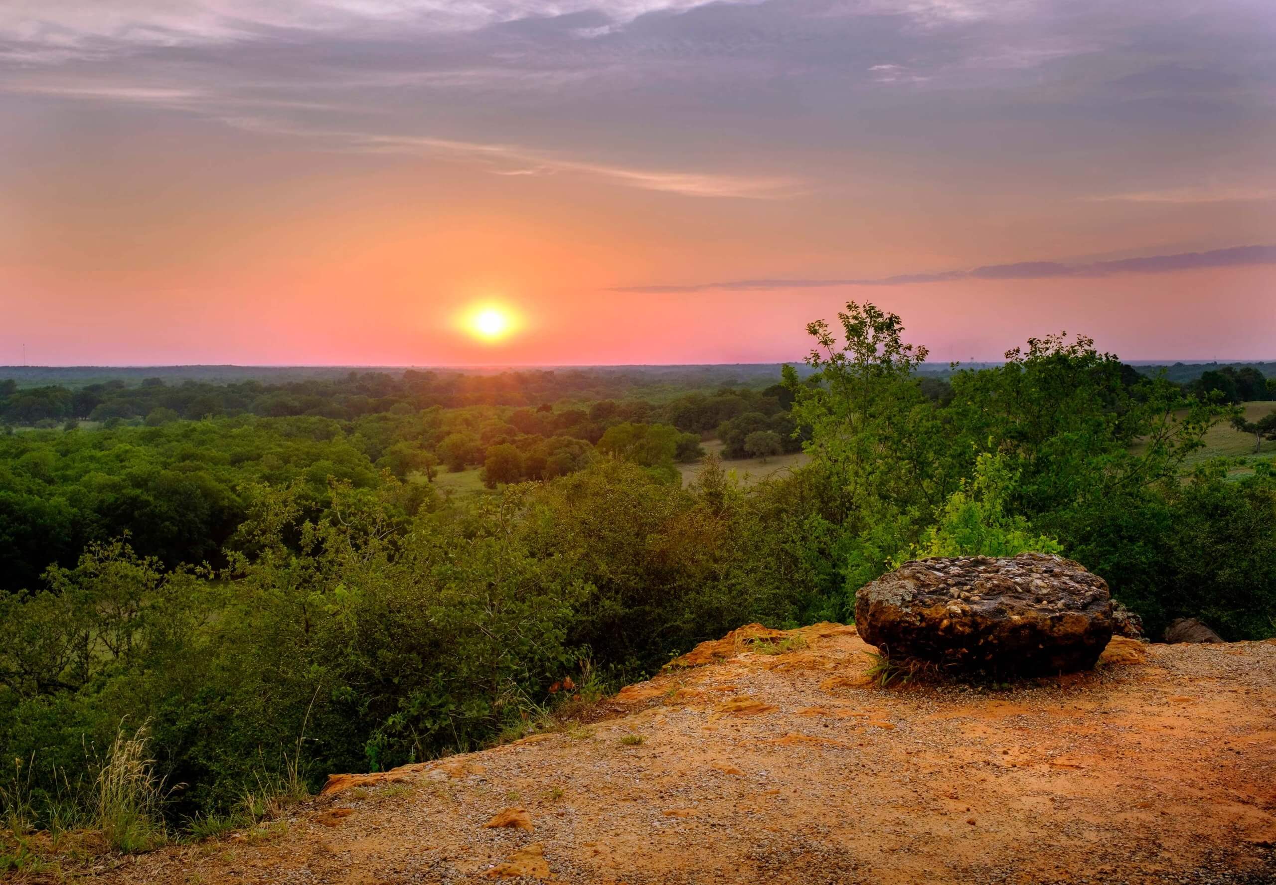 Palmetto State Park landscape in Gonzales, Texas